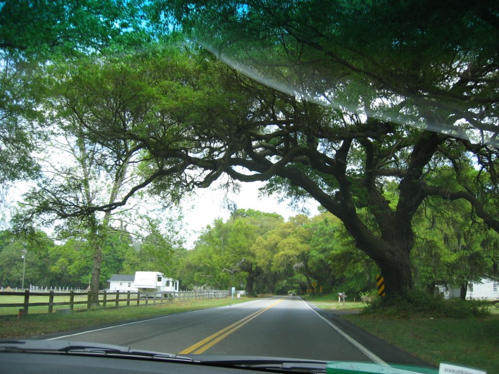 On the way to Kiawah Island